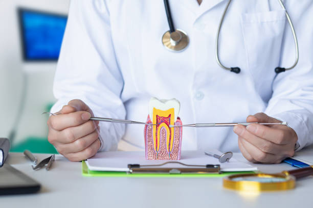 Best Emergency Denture Repair in Caledonia, WI